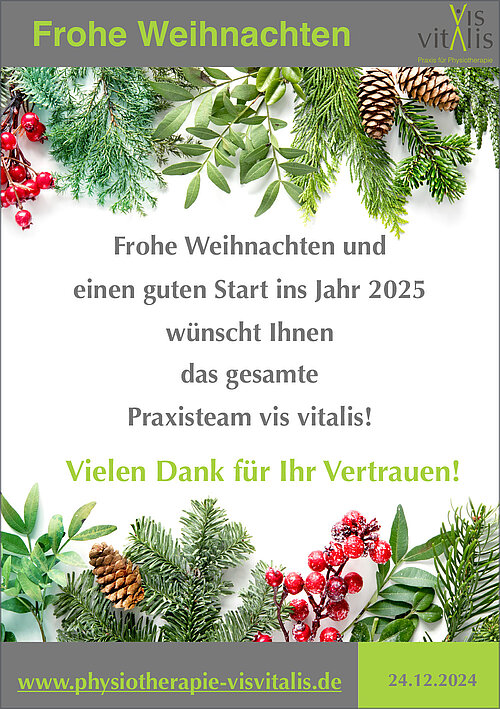 Frohe Weihnachten wünscht das Team vis vitalis